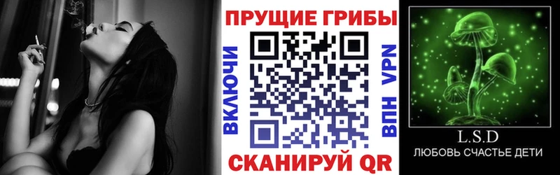 как найти наркотики Починок маркетплейс как зайти Галлюциногенные грибы мухоморы